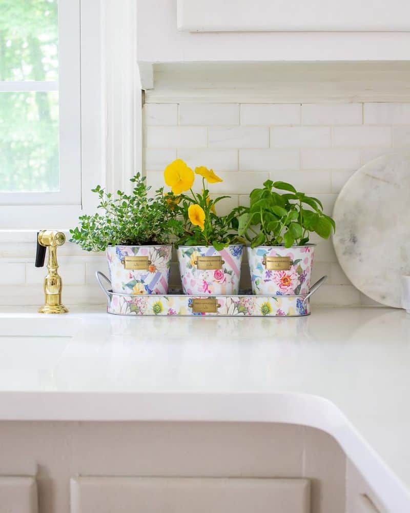 Potted Herbs