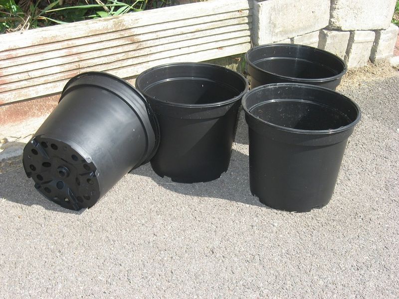 Select the Right Containers