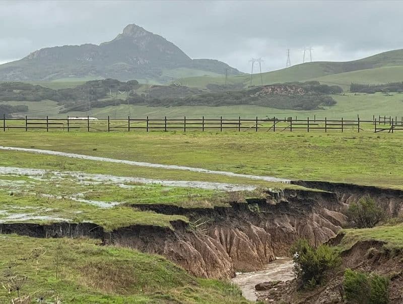 Prevents Soil Erosion