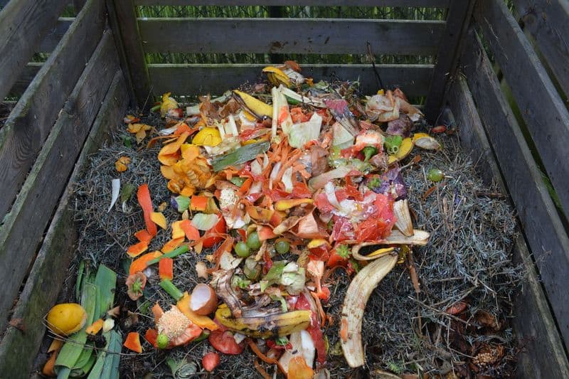 Lowers Carbon Footprint