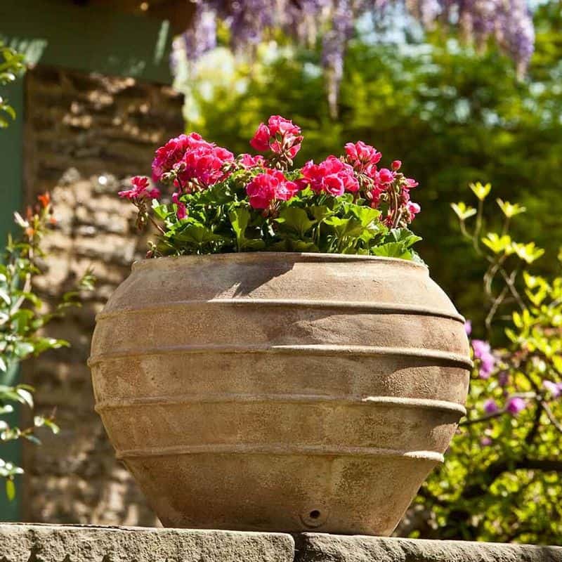 Terracotta Planters