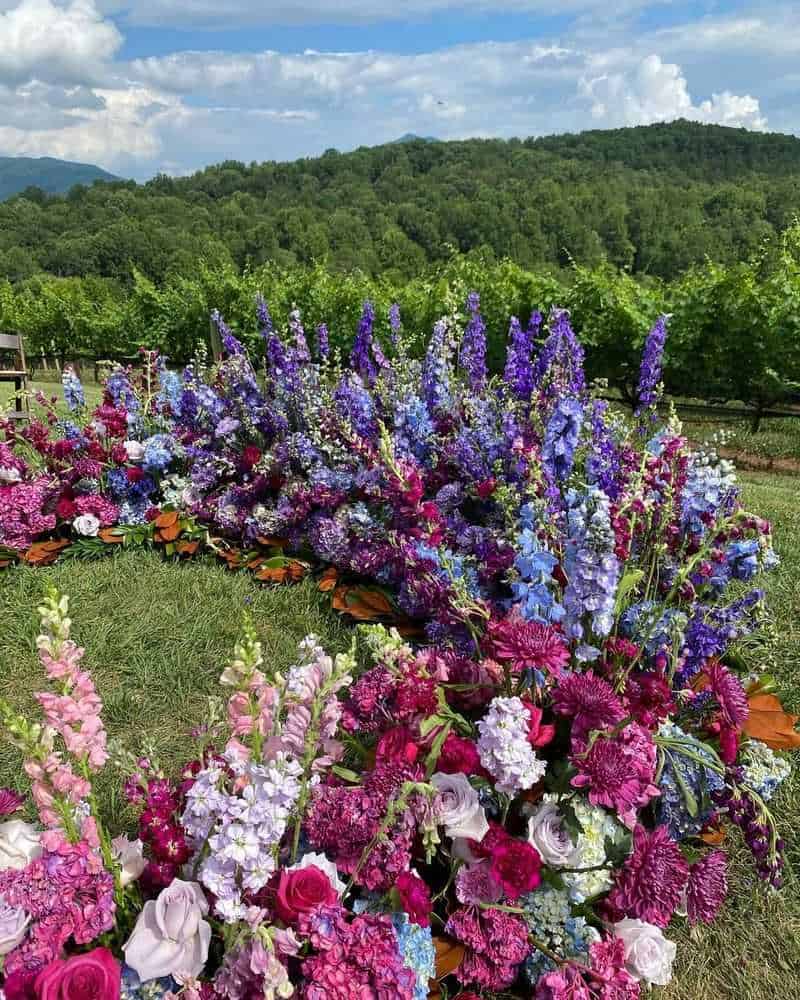 Provide Diverse Flower Shapes