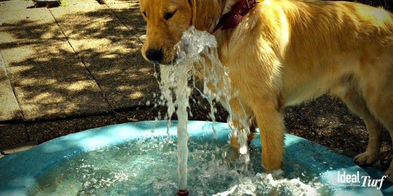 Install a Water Feature
