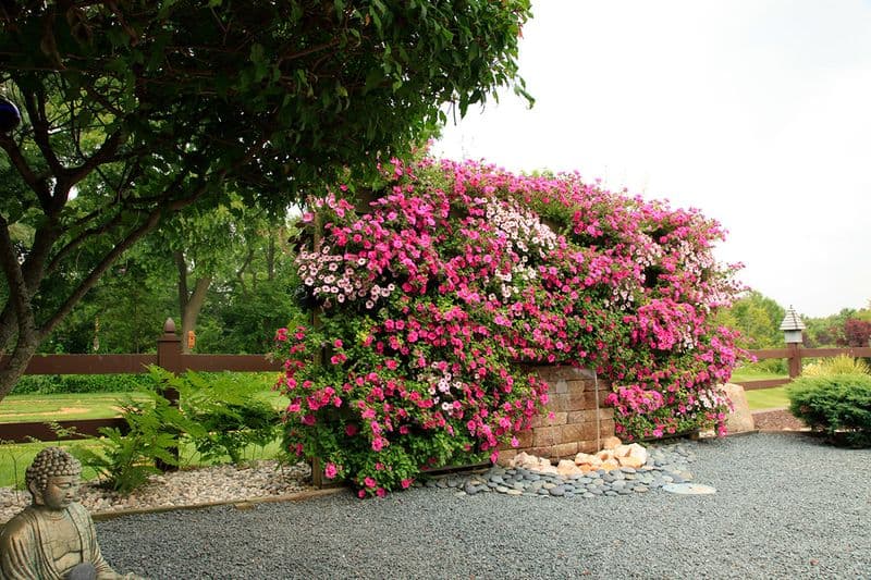 Protect from Extreme Weather