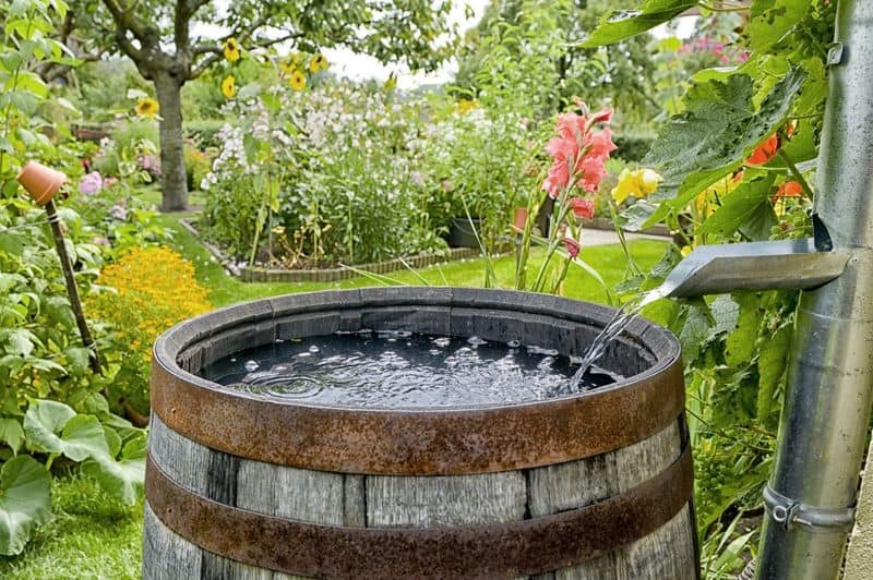 Rainwater Harvesting Hub