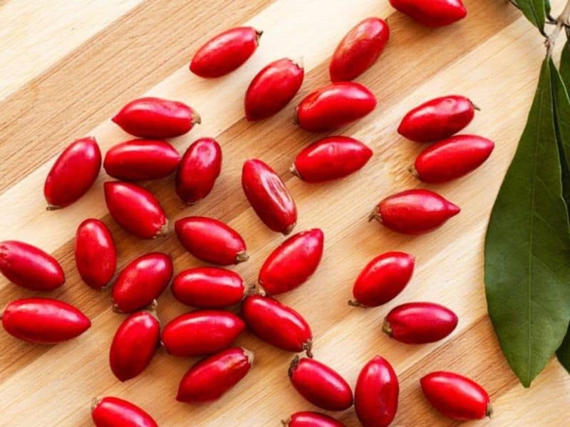 Miracle Fruit