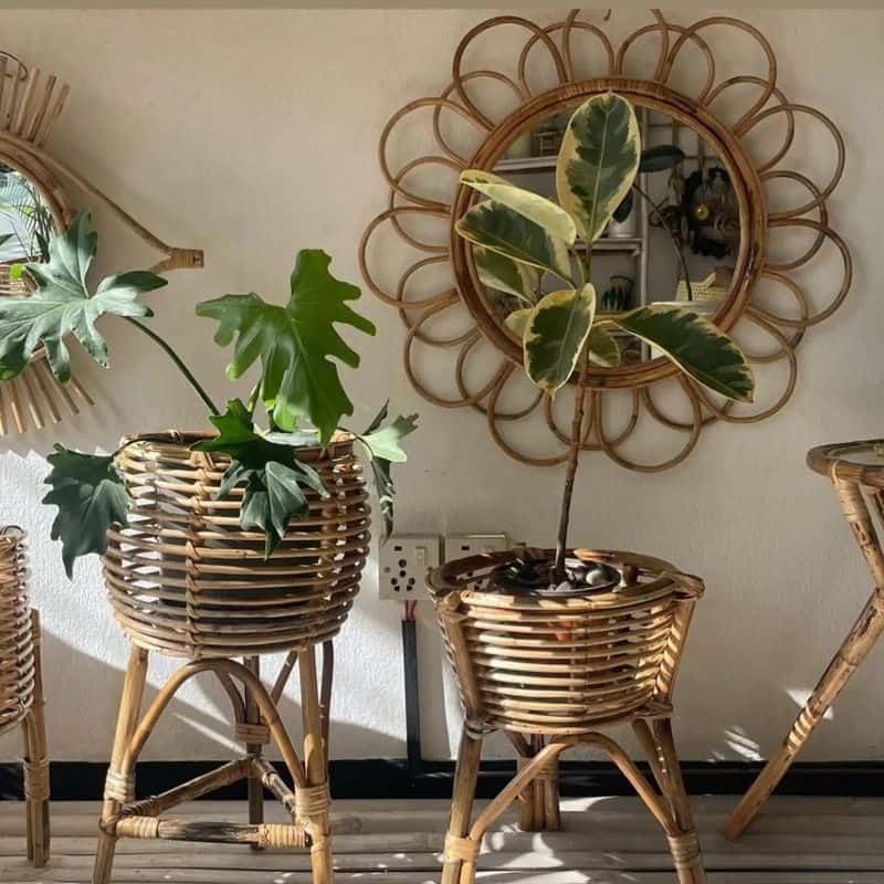 Rattan Plant Holder