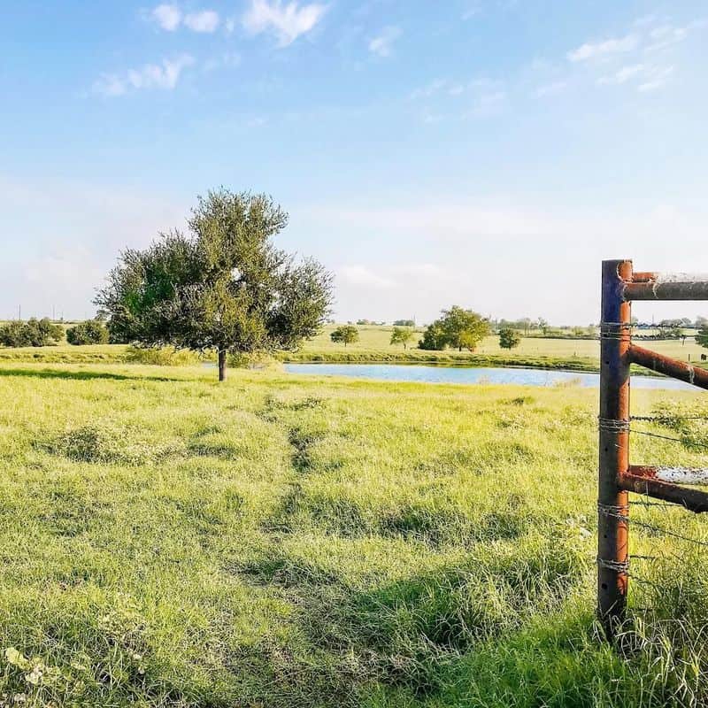 Raw Land and New Construction