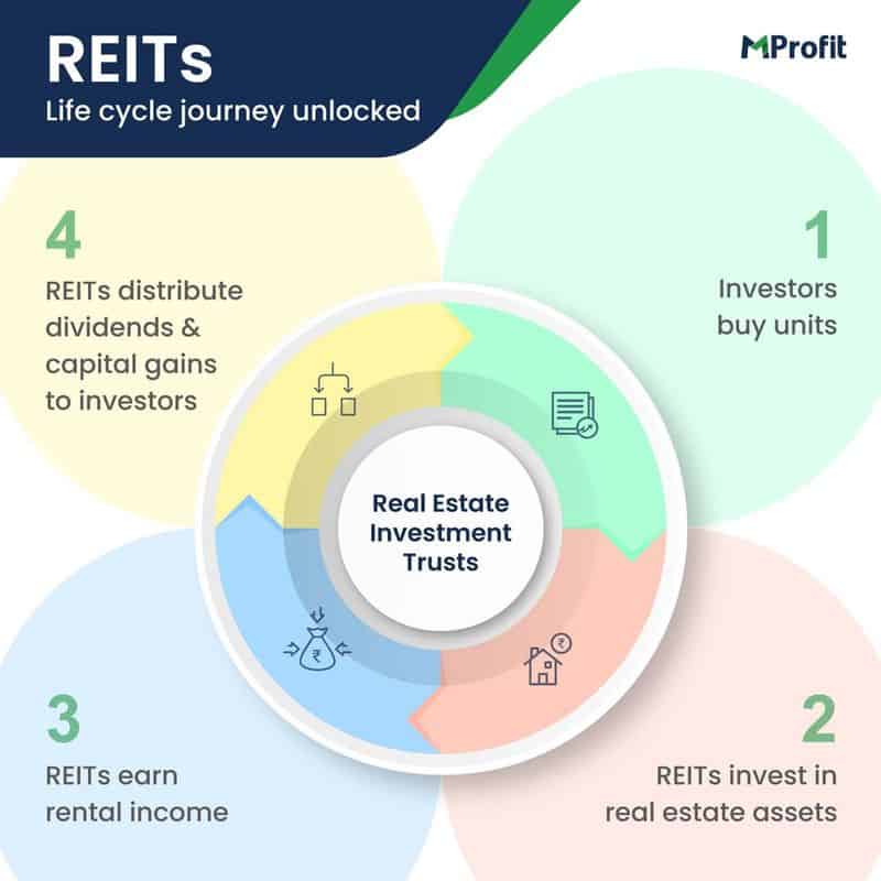 Real Estate Investment Trusts (REITs)
