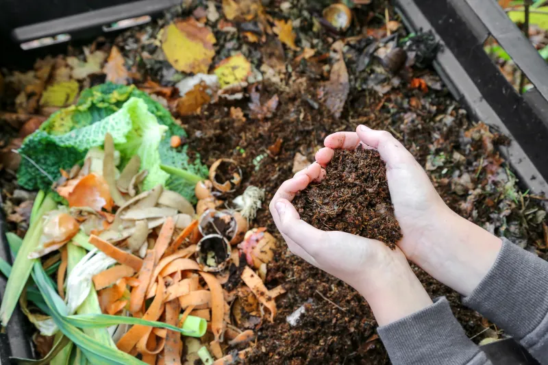 Enriches Soil Nutrient Content
