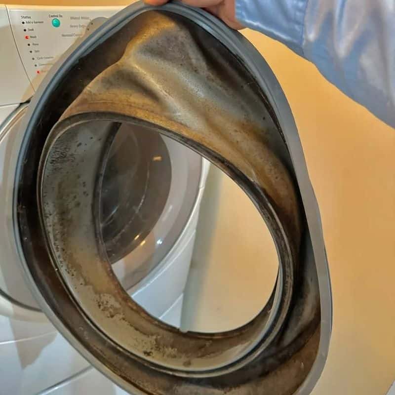 Regularly Replace Washing Machine Seals