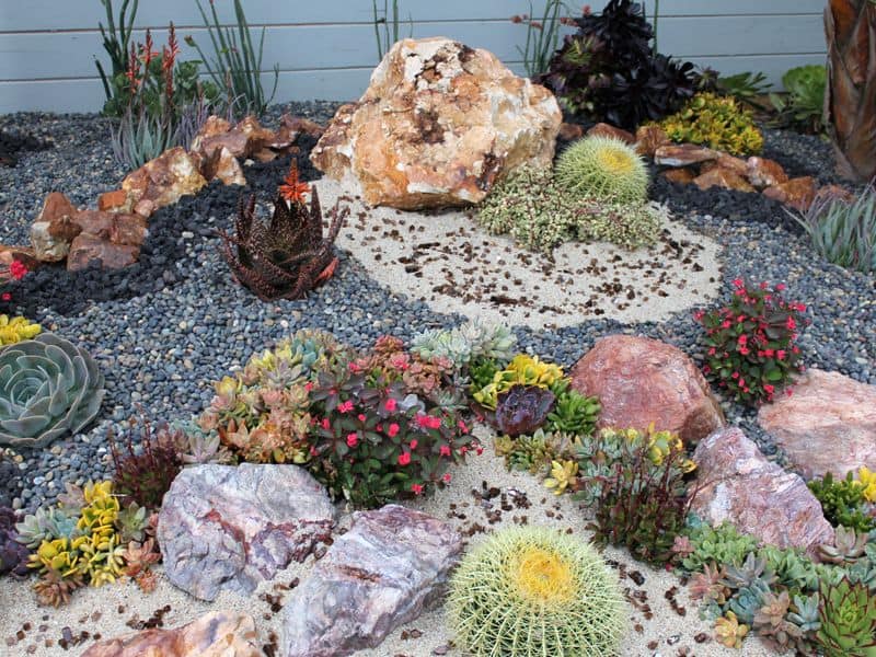 Rock Cactus Garden