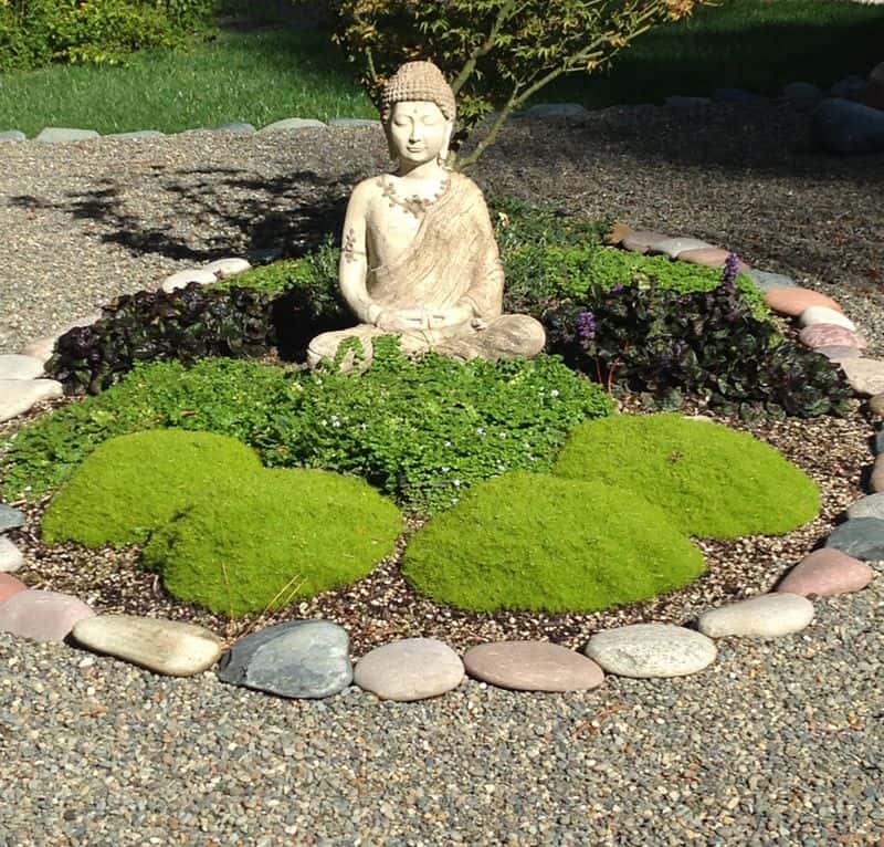 Zen Rock Garden