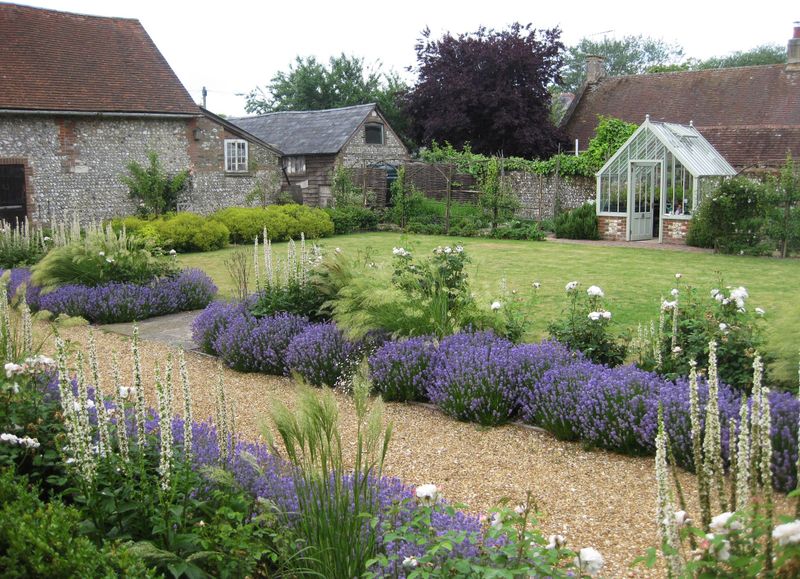 Lavender Fields