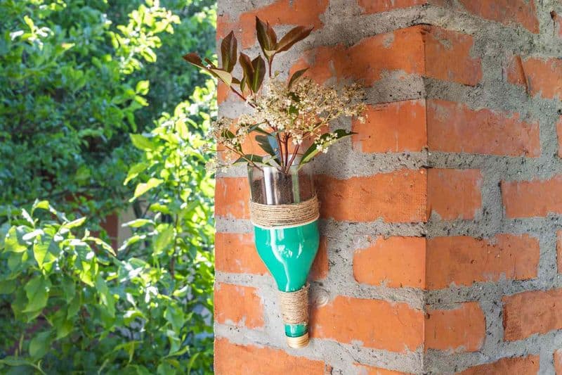 Glass Bottles