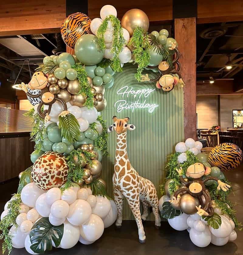 Safari Jungle Expedition