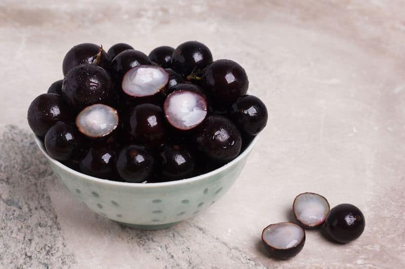 Jabuticaba