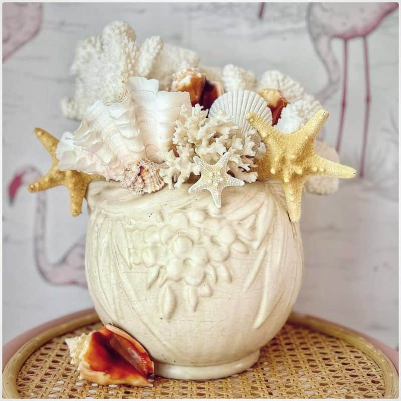 Seashell Decor