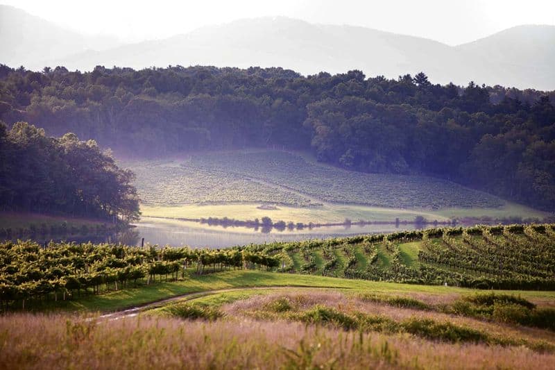 The Winery