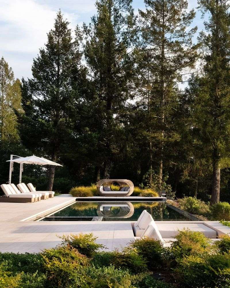 Select Low-Maintenance Plants
