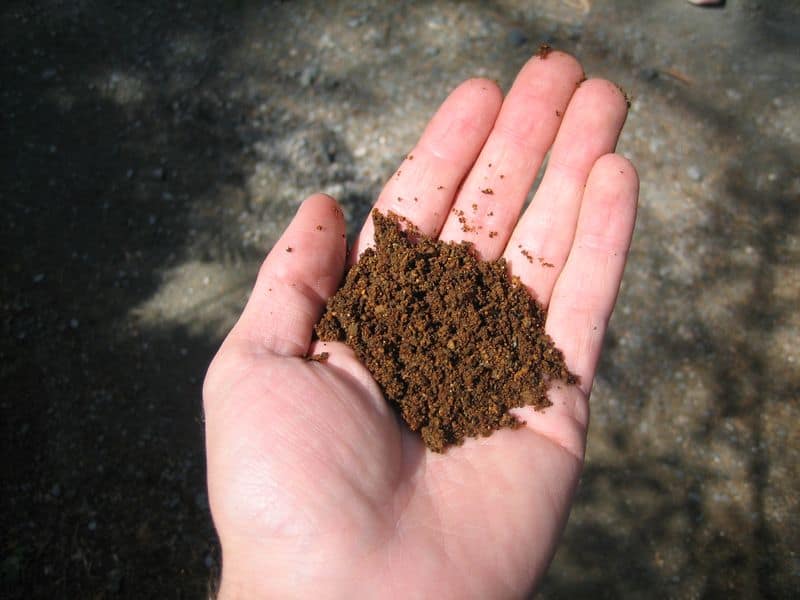 Use the Perfect Soil Mix