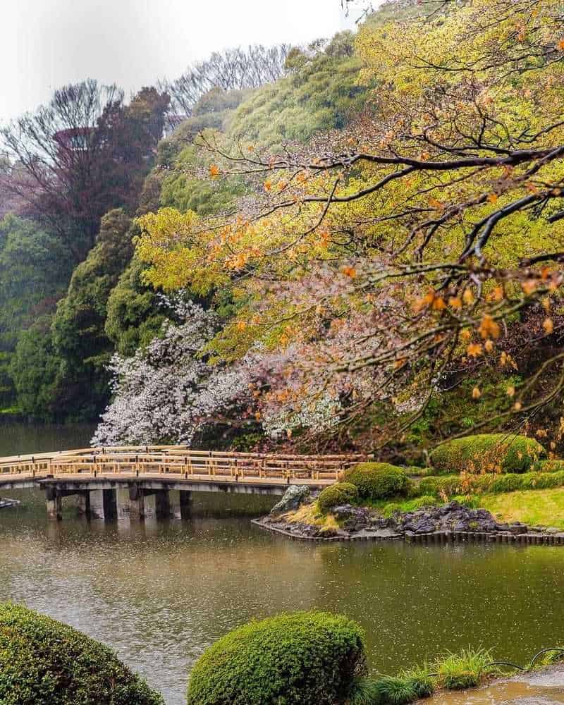 Shinjuku Gyoen National Garden (Tokyo)