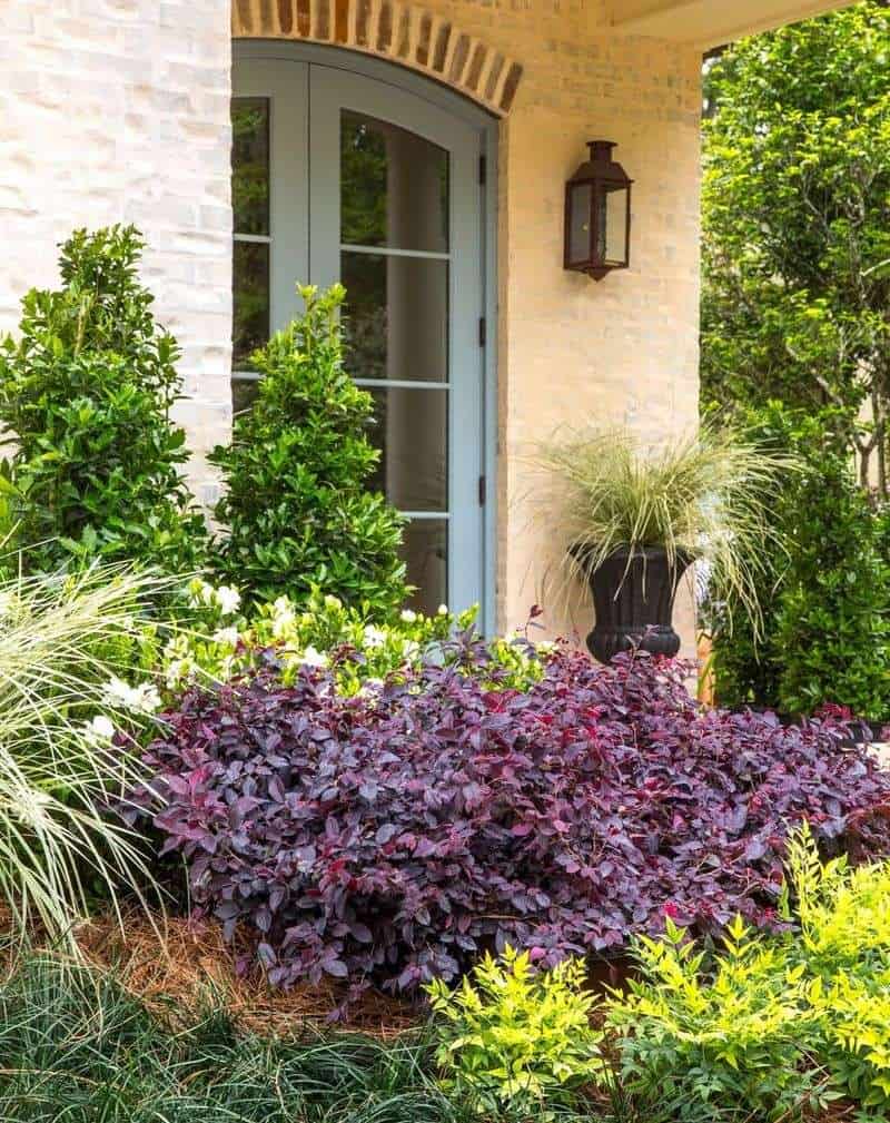 Shrubs