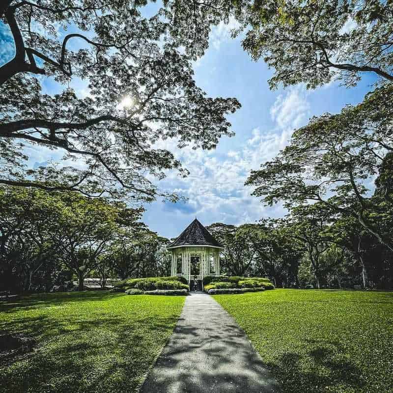 Singapore Botanic Gardens