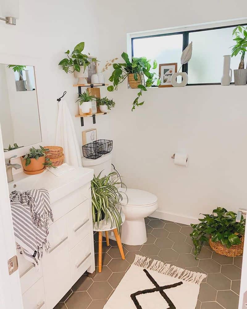 Golden Pothos