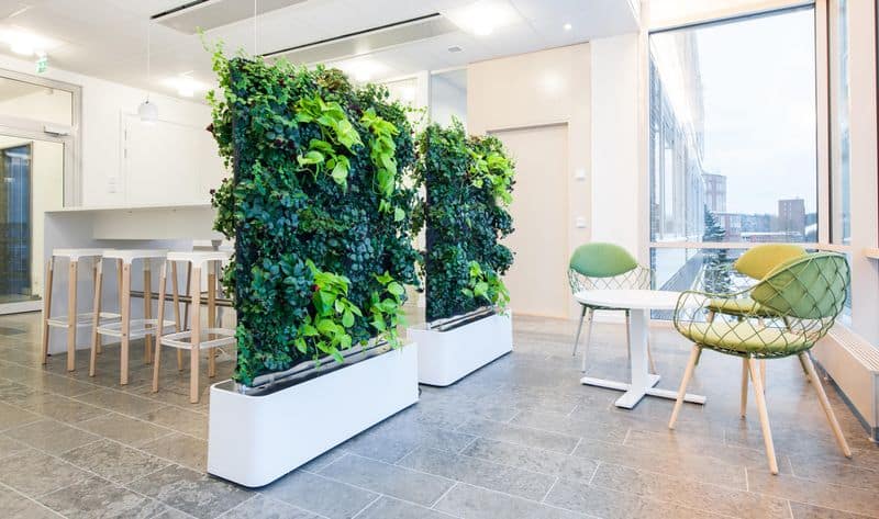 Plant Walls