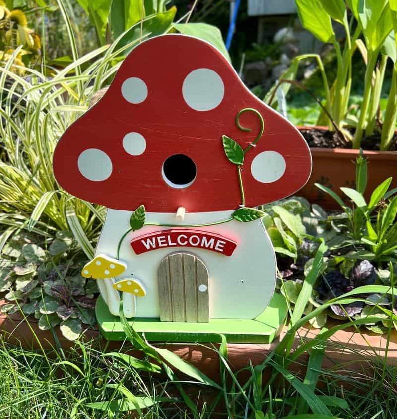Enchanted Mushroom House
