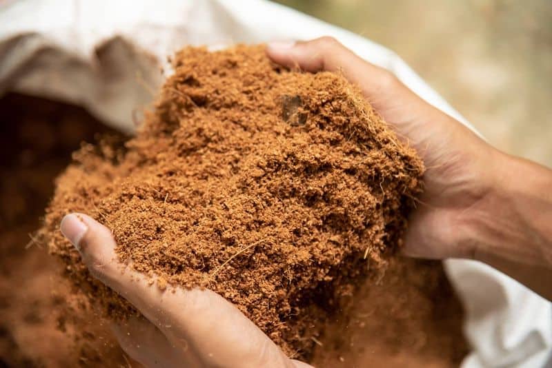 Coconut Coir