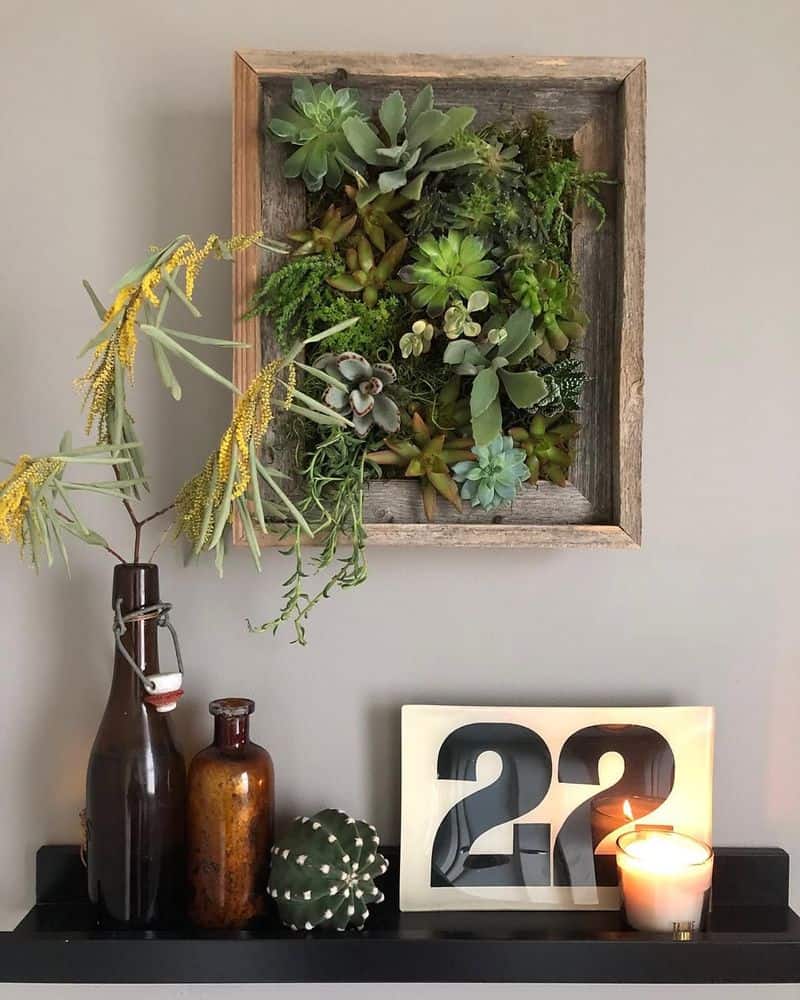 Succulent Planter
