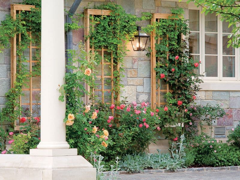 Create a Living Wall