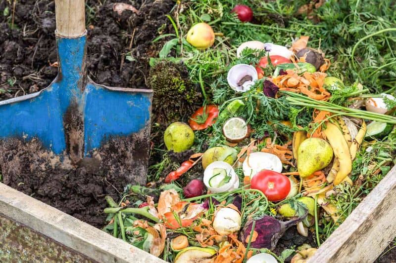 Cost-Effective Gardening