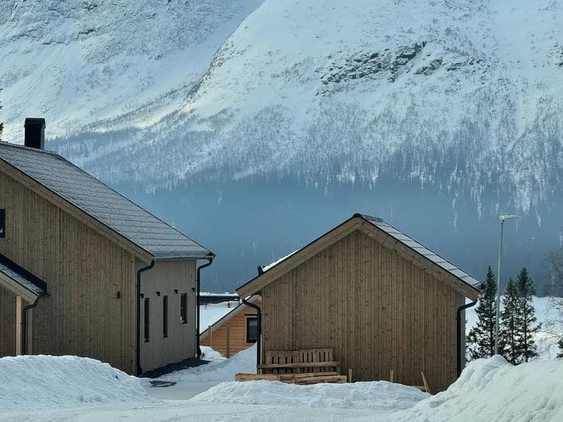 Swedish Snowy Sanctuary