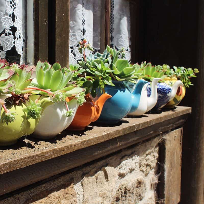Teapots and Cups