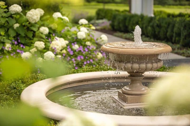 Water Feature