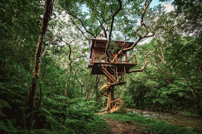 The Forest Retreat, Japan