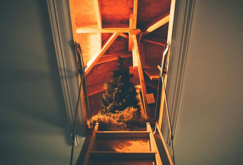 The Great Attic Expedition