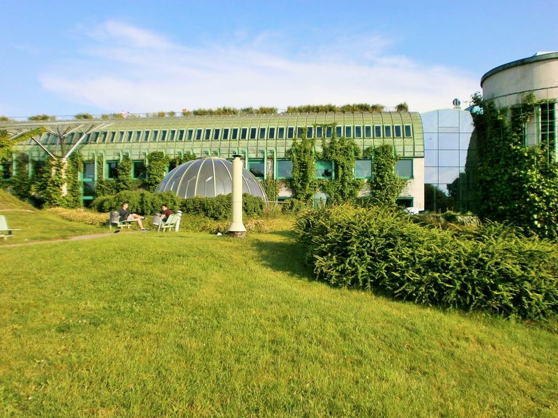 The Green Wall at the University of Warsaw Library