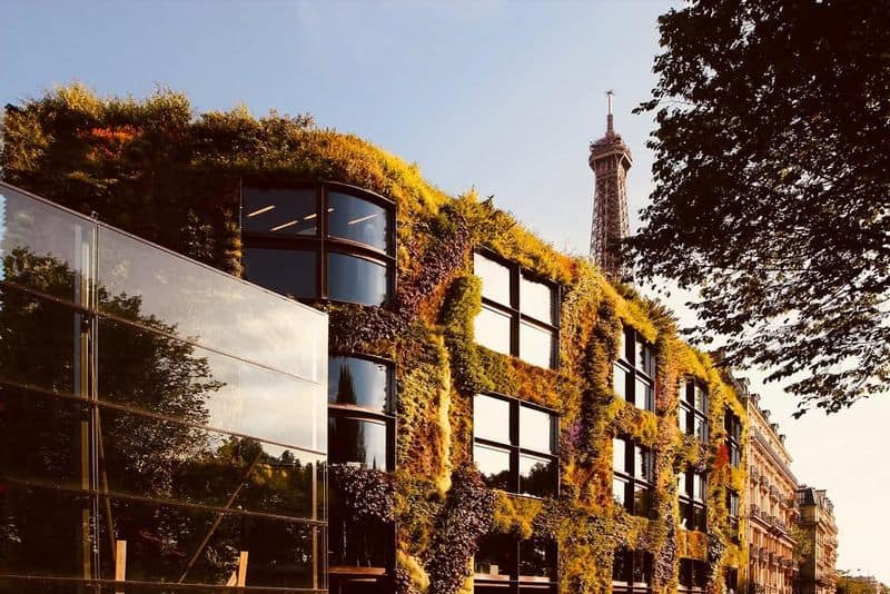 The Musee du Quai Branly