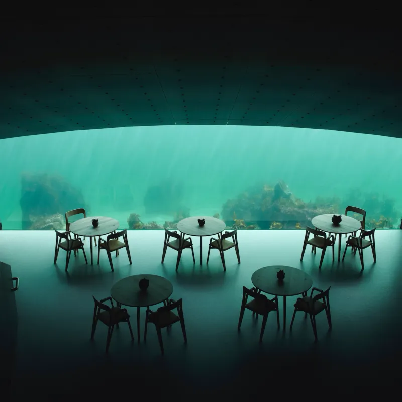 Marine Life Observation