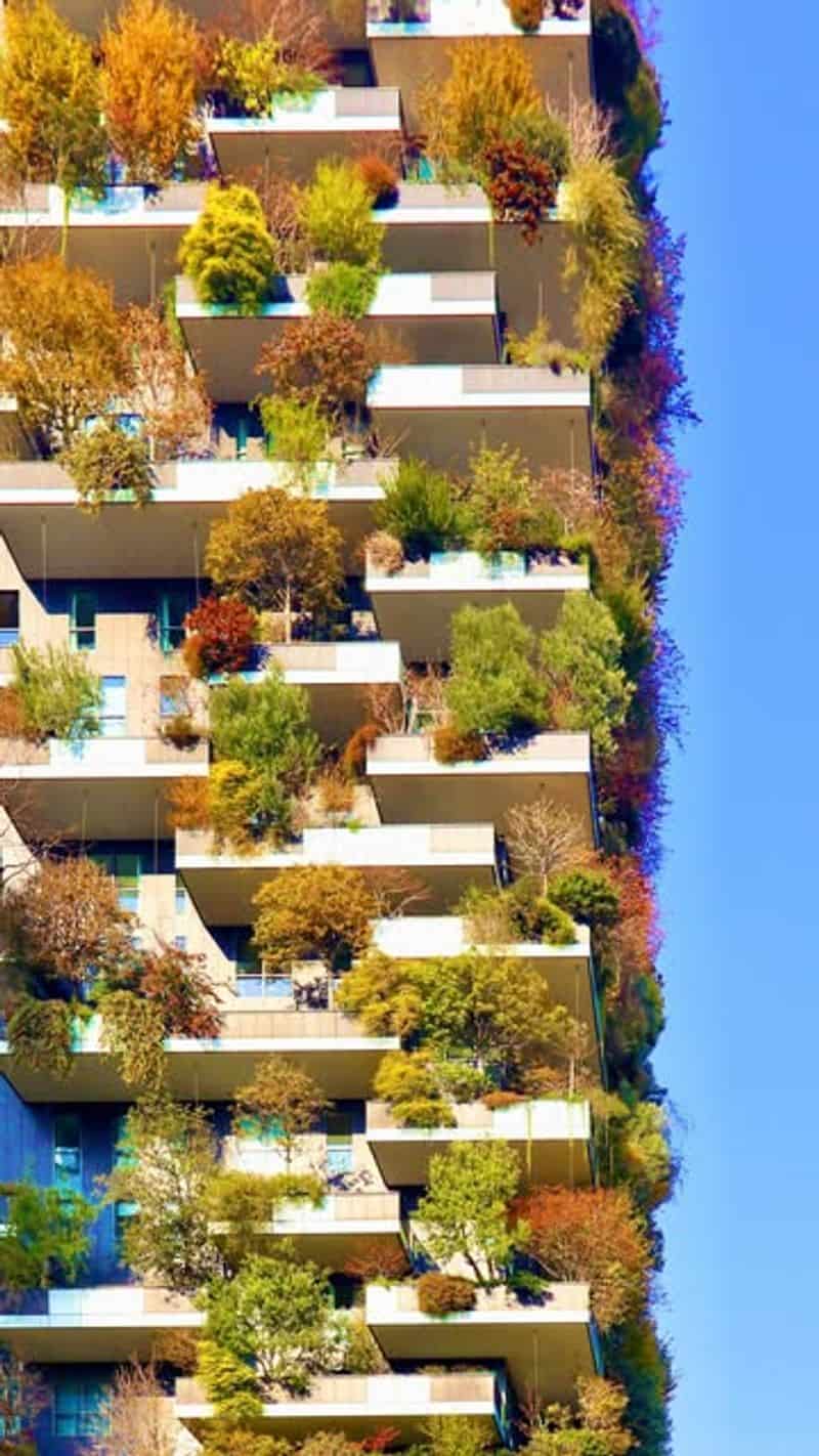 The Vertical Forest (Bosco Verticale)