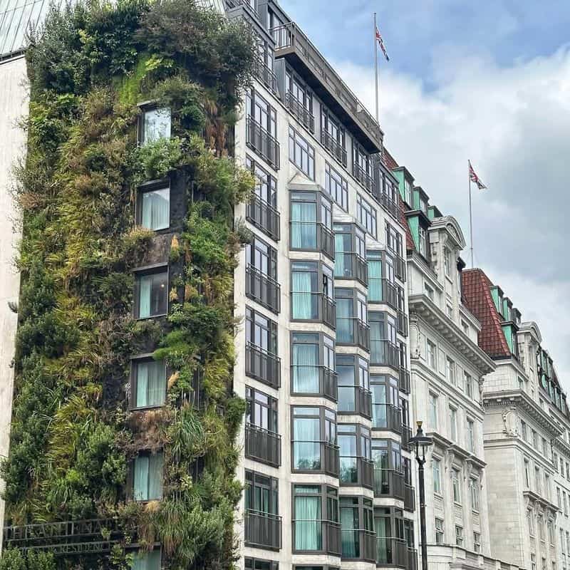 The Vertical Garden at the Athenaeum Hotel
