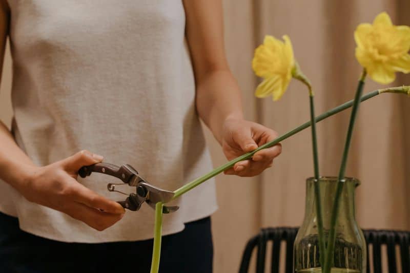 Tip 2: Use the Right Tools