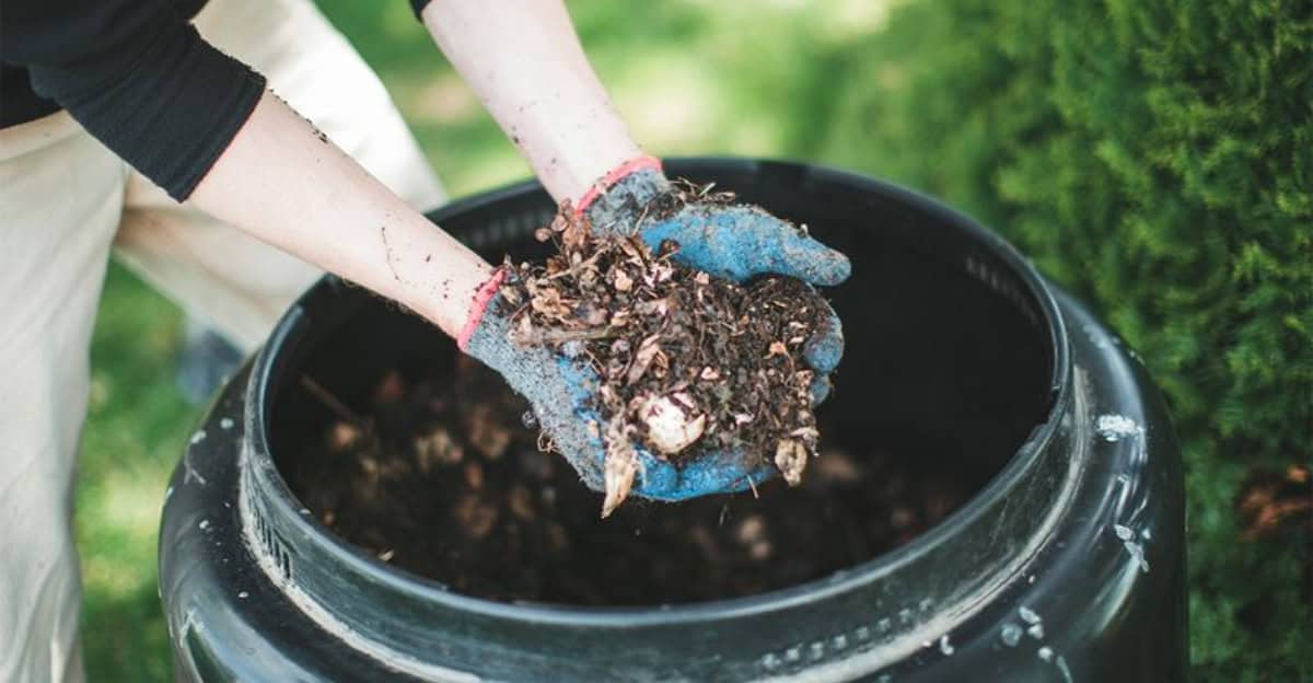compost-garden-environment