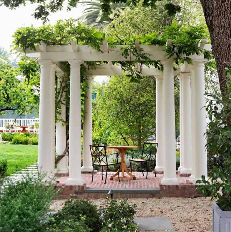 Trellis or Lattice for Patio Plants