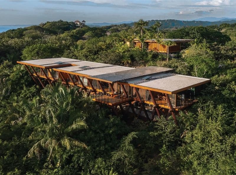 Tropical Jungle Hideaway