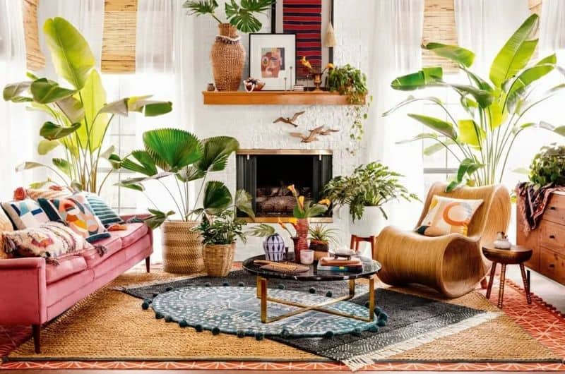 Tropical Paradise